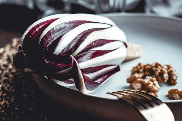 La via del gusto nella Marca Trevigiana